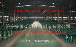 南京矿用防爆潜水排污泵标杆厂家