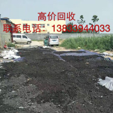 昆山 上海 钨泥钨粉高价回收