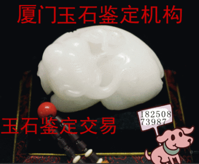 福建厦门怎么鉴定中华民国当十双旗币真伪