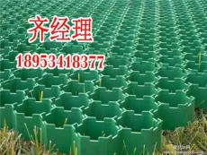 厂家低价出售植草格 排水板 土工布