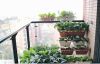 家庭阳台菜园设计施工/种植养护-成都尚鼎丰