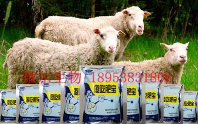 增大羊的食欲的羊用益生菌