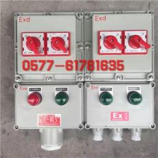 防爆配電箱 六回路 BXM-6防爆照明箱220V