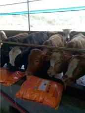 牛料厂家排名 牛料专用厂家