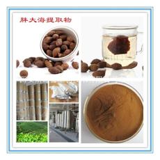 斯諾特生物 土豆膳食纖維 代餐粉