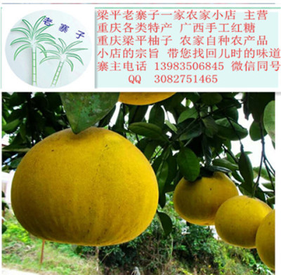 浙江温州人保健水果 梁平柚子 100%纯天然