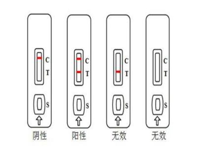 廣東深圳豬乙腦病毒抗體檢測卡
