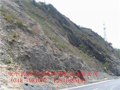 護坡網(wǎng)山體滑坡鋼絲繩網(wǎng) SNS邊坡防護網(wǎng)型號