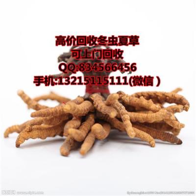 東莞萬江哪有回收蟲草 萬江上門回收蟲草