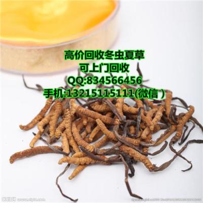東莞萬江哪有回收蟲草 萬江上門回收蟲草
