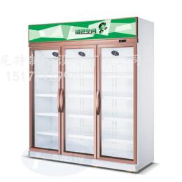 广西南宁超市冷柜便利店饮料柜冷藏展示柜