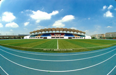 天津足球场施工 麦蒂小双面筋人造草坪