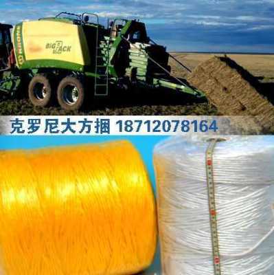 供應(yīng)進(jìn)口打捆機(jī)克羅尼捆草繩批發(fā)