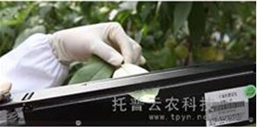 便攜式葉面積儀測量葉面積時的測量方法匯總