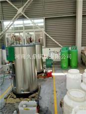 300公斤全自動(dòng)燃?xì)庹羝l(fā)生器