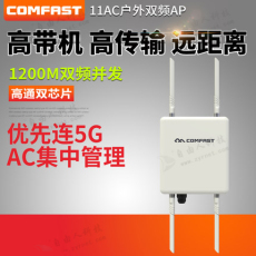 雙頻1200M大功率CF-WA800 V2戶外無線AP
