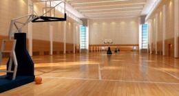 体育运动木地板价格 优质运动木地板厂供应