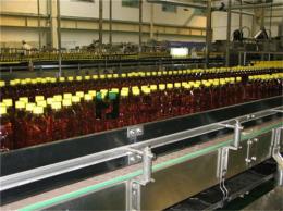 冰红茶链板生产线 直线链板生产线 输送机