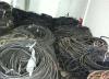 邯郸电缆回收 邯郸电缆回收今日价格