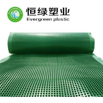 厂家生产塑料排水板 植草格 HDPE排水板