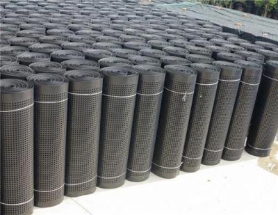 厂家生产塑料排水板 植草格 HDPE排水板