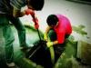 武汉福达乐公司专业清理隔油清掏池化粪池