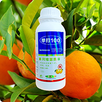 广西柑橘专用杀螨剂 柑橘抗性红蜘蛛特效药