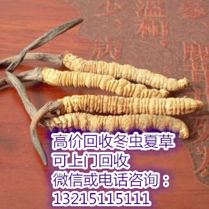 東莞石龍有回收蟲草的嗎 石龍上門回收蟲草