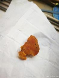 焦作哪里可以收購鴨寶