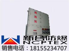 浙江厂家常年生产BXK系列防爆控制箱批发价