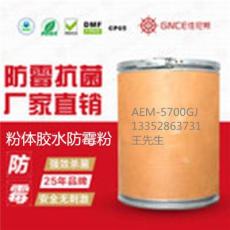 粉胶防霉剂AEM-5700SJ