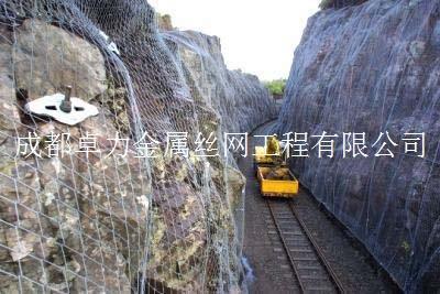 供應(yīng)貴州鈦克網(wǎng)云南蜘蛛網(wǎng)四川絞索網(wǎng)