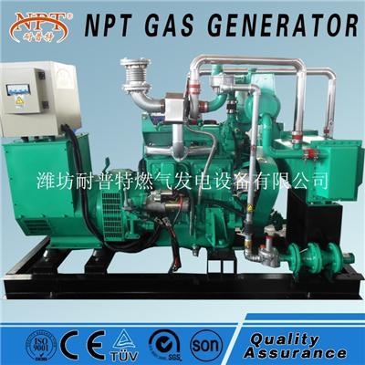 影響小型沼氣發電機的性能因素 燃氣發電機