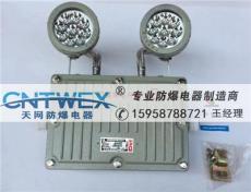 BXW6229-ZY防爆灯BXW6229 防爆应急灯