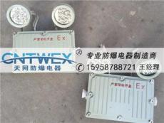 BXW6229节能防爆应急工作灯 GCD803双头灯