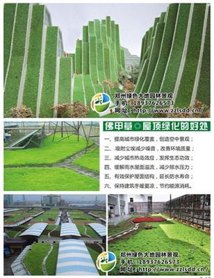 郑州高新区佛甲草屋顶绿化工程 环保无污染