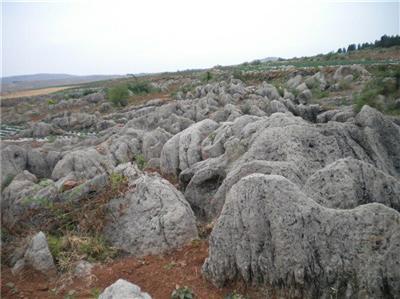 常州扬中鹅卵石天然卵石专业开采