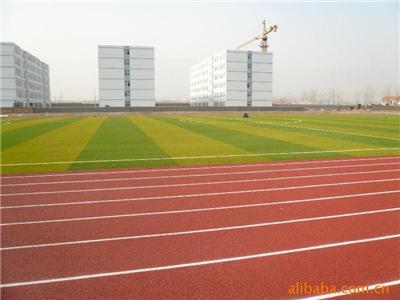 天津小区塑胶跑道安装 建设材料厂家