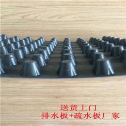 北京阻根刺排水板 1公分塑料排水板 厂家