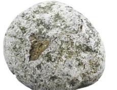 龙涎香在哪里能鉴定