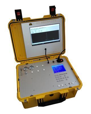 燃气分析专用便携式气相色谱仪