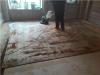 黄浦区地毯清洁公司自忠路俊迪地毯清洗