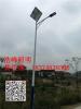 湖南衡阳太阳能路灯厂 6米太阳能路灯批发
