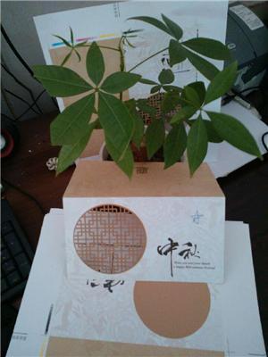上海松江木盒激光雕刻加工 充电宝激光刻字