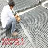 来宾绿化阻根板 提供施工 南宁车库排水板