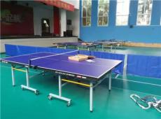 柳州乒乓球台厂家直销 柳州乒乓球桌多少钱