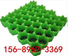 歡迎光臨 //天津塑料植草格價(jià)格 有限公司