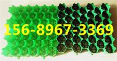 石家莊塑料植草格價(jià)格 有限公司//歡迎您