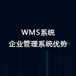 郑州WMS企业管理系统优势 仓库管理