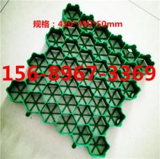 保定塑料植草格價(jià)格 有限公司 歡迎您